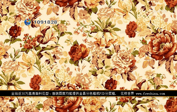  ͹Ż miu miu ＾b ӡD ϻOӋ